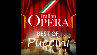 Italian Opera Best of Puccini  Opera Classics [upl. by Diver62]