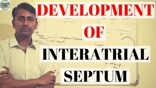 DEVELOPMENT OF INTERATRIAL SEPTUM [upl. by Hallam]