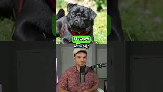 Guess The YouTuber By Their Pet [upl. by Zrike]