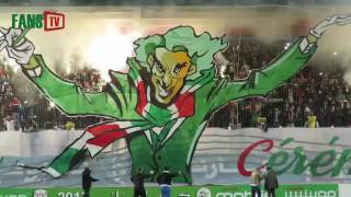 TIFO ULTRAS VERDELEONE MCA 71 USB  FANS TV [upl. by Enrico]