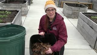 How to use fallen leaves in your garden [upl. by Hamner]