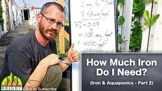 Iron in Aquaponics  Part 2 How much do I need [upl. by Matlick]