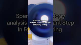 Sperm Morphology  Semen Analysis sperm semenhealth fertility infertility [upl. by Blalock153]