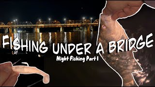 Fishing The ESTUARY At NIGHT Part 1  Shoalhaven River  Large Structure [upl. by Coriss]