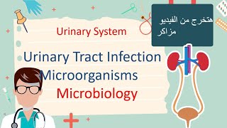 Urinary Tract Infection  Microbiology هتخرج مزاكر المحاضره [upl. by Teressa721]