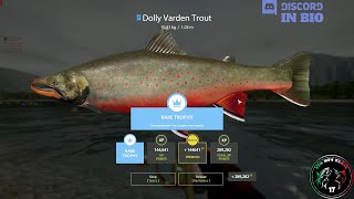 Yama River spot Rare Trophy Dolly Varden Trout  34  Russian Fishing 4  RF4 [upl. by Osana]