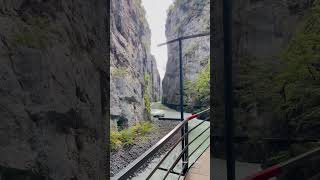 ‘Aare Gorge passageway’ swisstravels swisstourism travel ytviral shorts short aareschlucht [upl. by Lisandra]