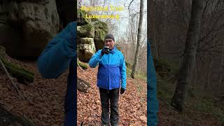 Mullerthal trail Luxembourg trailrunning luxembourg mullerthaltrail [upl. by Euk83]