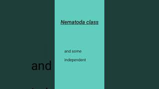 what is nematodesnematoda classnematodeparasitemicrobiologylabtechnician4346 [upl. by Kneeland86]