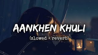 Aankhein Khuli  Slowed  Reverb  Lofi Mix  Old New Version  Hindi Song Vibes [upl. by Aras279]