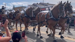 Parade De chevaux Festival Western de SaintTite 2022 [upl. by Victor]