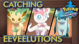 Pokémon Sword amp Shield  How to Catch All Eeveelutions Sylveon Leafeon Glaceon amp More [upl. by Stanislaw]