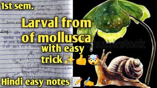 Larval from of mollusca ✍️✨📝msc Zoology 1st semester hindi easy notes with easy tricks 😀🤯👍✨🔥🔥🔥 [upl. by O'Neil146]