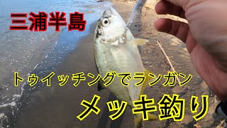 三浦半島 トゥイッチングでランガン メッキ釣り [upl. by Weirick778]