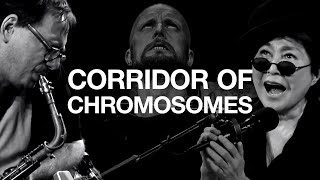 MESHUGGAH feat Yoko Ono  Corridor of Chromosomes [upl. by Czarra850]