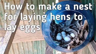 How to make a nest for laying hen to lay eggs [upl. by Sillsby603]