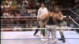 ANDRE THE GIANT WITH THE BUSHWACKERS WWF 1991 PROMO MATCH YouTubet111 [upl. by Anaujik]