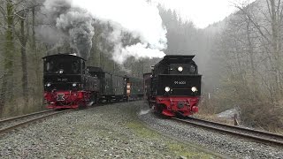 FotoSonderfahrt der IG Harzer Schmalspurbahnen mit den Dampfloks 99 6001 und 99 5901 [upl. by Alleunam640]