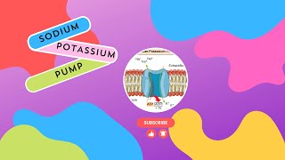 Sodium Potassium Pump in bioinorganic chemistry chemistry [upl. by Ayahsal]