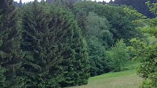 Schönbrunn im Odenwald das einzige Dorf Deutschlands ohne Straßenanschluss [upl. by Emmett]