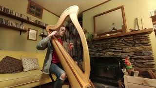 NZ 2024 Harp Performance Competition  Grade 34  Neo Hunt [upl. by Gaudette]