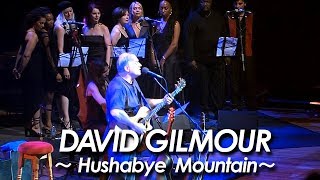 PINK FLOYD：DAVID GILMOUR 『Hushabye Mountain Acoustic Version 』2002 by miu JAPAN [upl. by Hgielsel158]