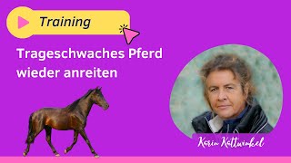 Trageschwaches Pferd wieder anreiten  Pferdegesundheit  Karin Kattwinkel [upl. by Frerichs]