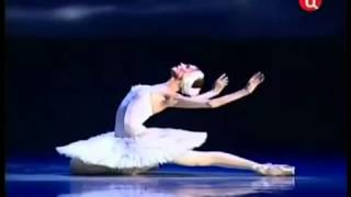 Svetlana Zakharova em A morte do Cisne  Lago dos Cisnes [upl. by Vokaay]