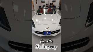 Corvette Stingray [upl. by Tiduj621]