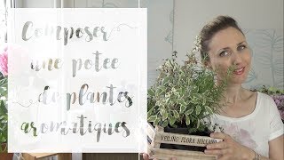 Comment associer les plantes aromatiques   SERIE Aromatiques en pot [upl. by Shayn757]