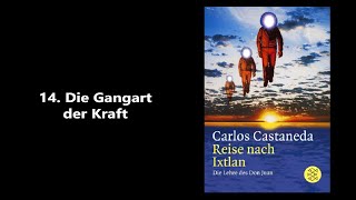 Hörbuch  Reise nach Ixtlan  14  Carlos Castaneda [upl. by Ecnerolf]