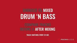 Unmixed VS Mixed Drum n Bass DNB  CryonicPax  Hold Me Before amp After Mixing [upl. by Ayor]