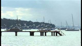 Sturm am Ammersee [upl. by Leirud]