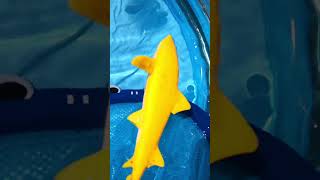 Catch Sea Animal Toys in Net amp Waterslide Fun  Learn Sea Animal Names Puffer Fish Sea Lion Shark [upl. by Osner]