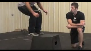 Plyometrics  Jumping  Box Jumps [upl. by Cirdek]