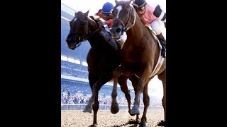 AFFIRMED VS ALYDAR The Triple Crown [upl. by Sandor97]