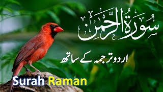 Surah Rahman With Urdu Translation full  Quran with Urdu and Hindi Translation  Tarjuma ke Sath [upl. by Iliam519]