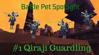 Pet Spotlight 1  Qiraji Guardling  Limited Time Pet [upl. by Fortier983]