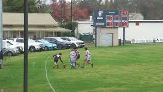 Mini Colts Round 9 Vs Mt Barker 2024 [upl. by Lilahk]