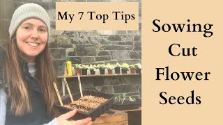 My Top 7 Tips For Sowing Cut Flower Seeds [upl. by Yrroc]