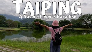 This is Malaysias WETTEST Town  Taiping Malaysia Vlog [upl. by Sidwohl]