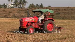 Tractor ploughs Indian agricultural field  mechanized agriculture in India [upl. by Charbonneau]