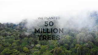 How 50 million trees have changed the world [upl. by Ardath443]