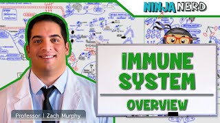 Immunology  Immune System Overview [upl. by Atihcnoc]