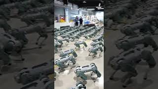 Watch Mass testing of Unitree Go1 robot dogs in factory [upl. by Ezirtaeb]