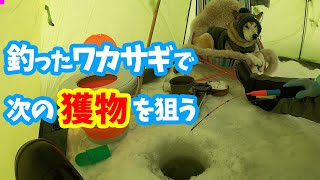 【わんこと氷上ワカサギ釣り🎣】釣ったワカサギを天ぷらで食べつつワカサギを餌にトラウトフィッシング🐟2020年1月Eat smelt tempura while fishing smelt on ice [upl. by Gnuhc]