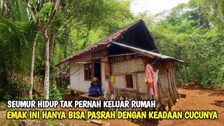 Bahagianya Emak Yang Tinggal Menyendiri Di Pinggir Hutan Dapat Kiriman Rezeki [upl. by Nyrhtak]