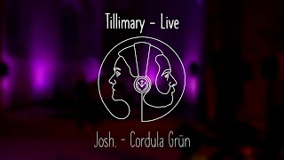 Cordula Grün  Live Cover [upl. by Nodababus]