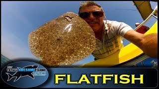 How to catch Flatfish on bait  Totally Awesome Fishing Show [upl. by Aniretake]