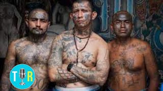 MS13 Gang Undercover Video of Largest Takedown in US History  The Interview Room [upl. by Anujra437]